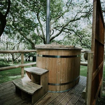 Oak Special Winter Offers - Hot Tub & Log Burner Leilighet Barmouth Eksteriør bilde